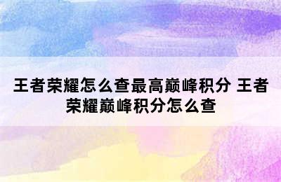 王者荣耀怎么查最高巅峰积分 王者荣耀巅峰积分怎么查